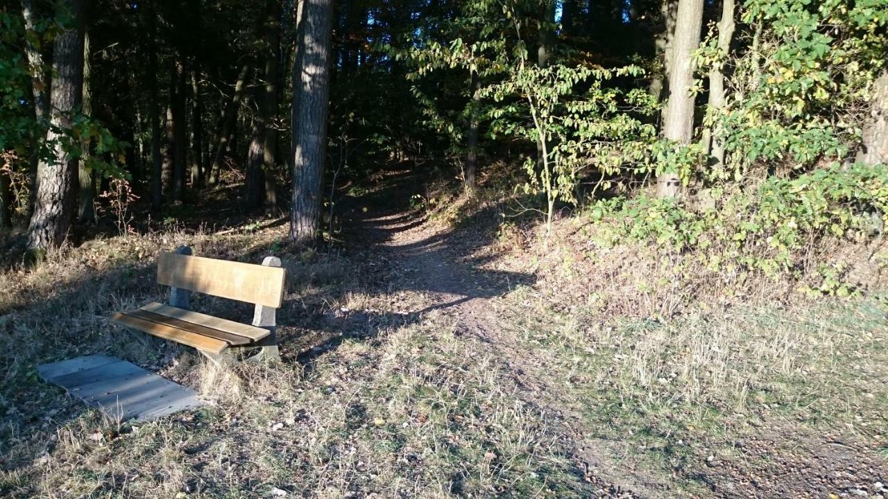 Ferienwohnung Mitwitz Kronach Neustadt Coburg - Erholung, Wandern Uvm. Sehr Ruhig Gelegen エクステリア 写真